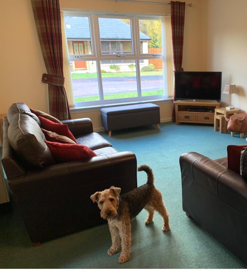 Cairngorm Cottage Aviemore Buitenkant foto